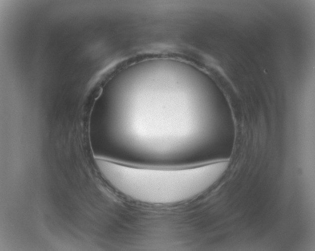 X0000083061304200702021025