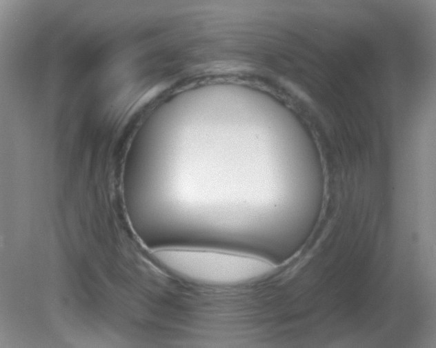 X0000083061306200702021025