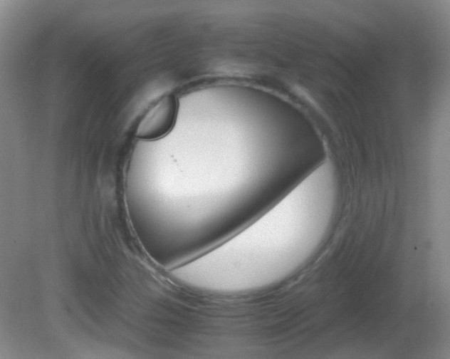 X0000083061307200702021025