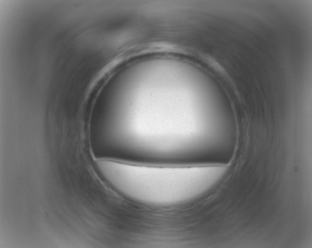 X0000083061318200702021026