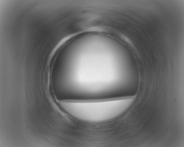X0000083061323200702021026
