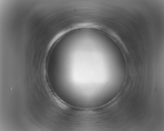 X0000083061328200702021026