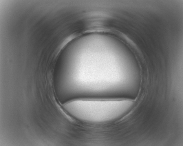 X0000083061329200702021026