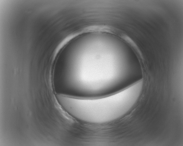 X0000083061336200702021026