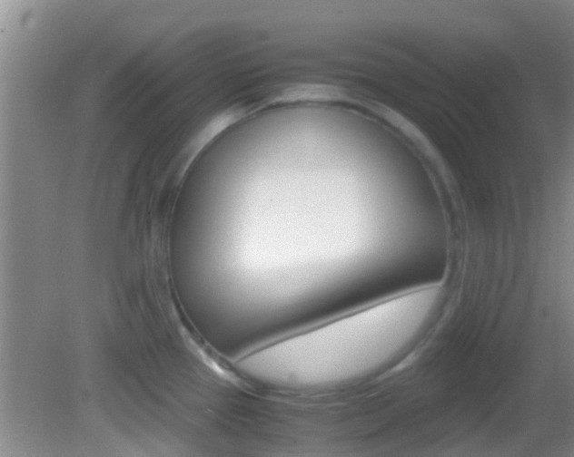 X0000083061337200702021026