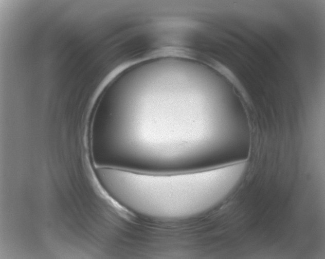 X0000083061339200702021026