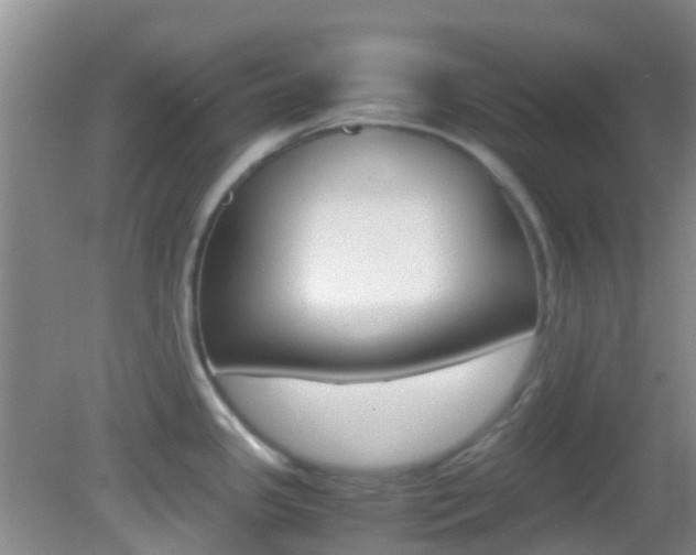 X0000083061341200702021026