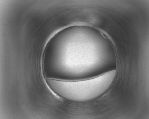 X0000083061343200702021026