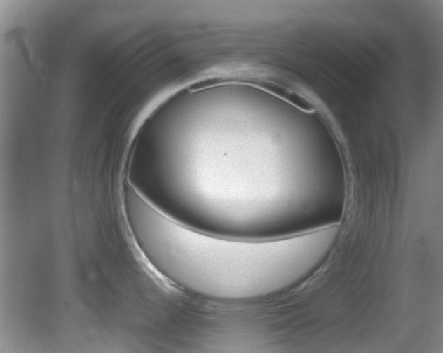 X0000083061344200702021026