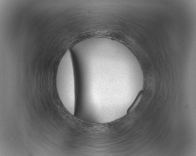 X0000083061346200702021025