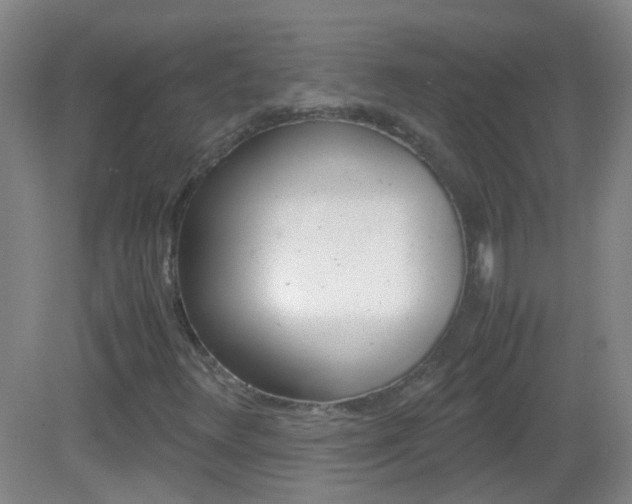 X0000083061348200702021025