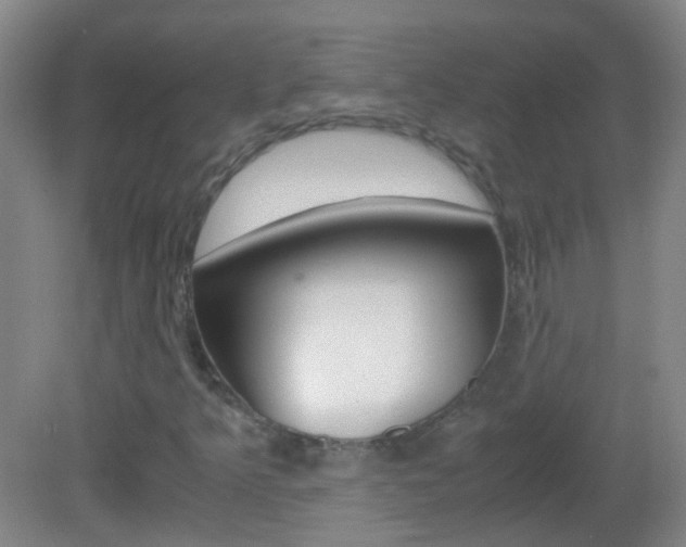 X0000083061349200702021025