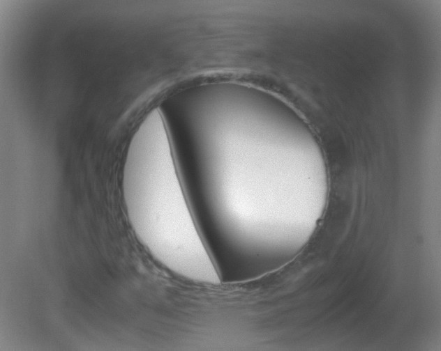 X0000083061351200702021025