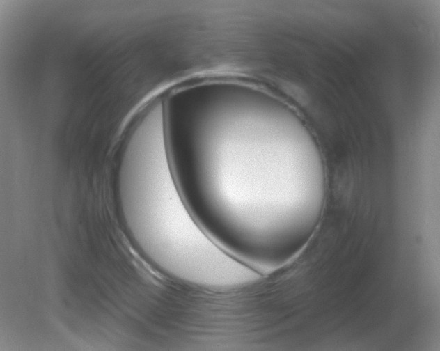 X0000083061356200702021025