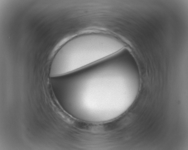 X0000083061363200702021025
