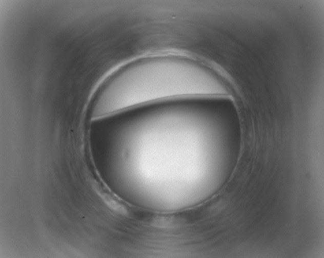 X0000083061364200702021025