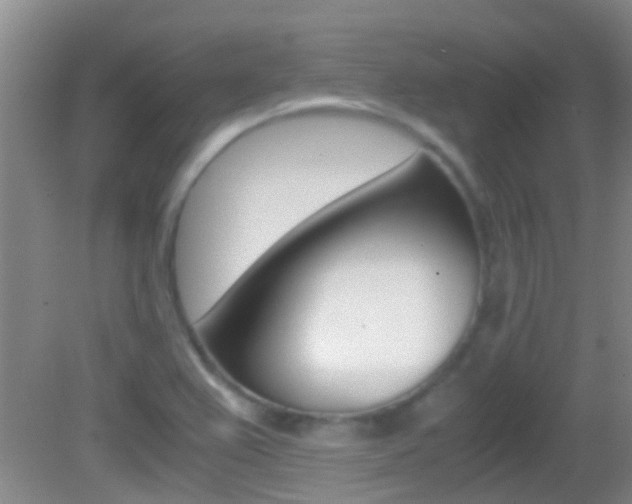 X0000083061367200702021025