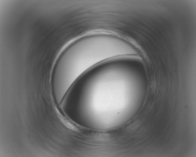 X0000083061372200702021025