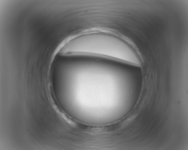X0000083061373200702021025