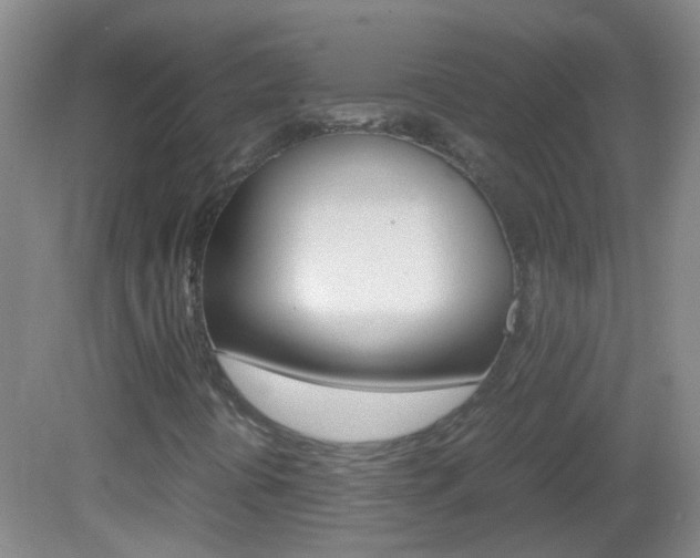 X0000083061394200702021024