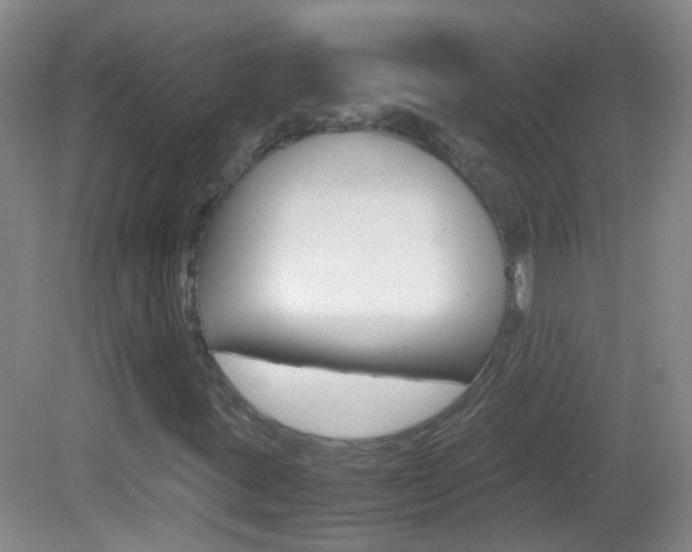 X0000083061395200702021024