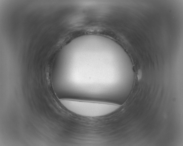 X0000083061396200702021024