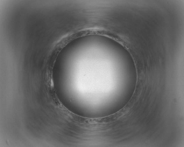 X0000083061398200702021024