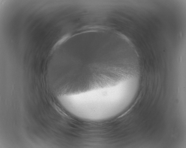 X0000083061403200702021024
