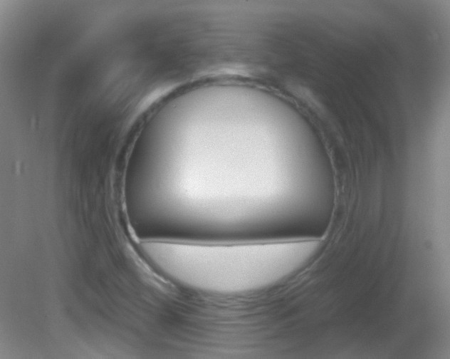 X0000083061404200702021024