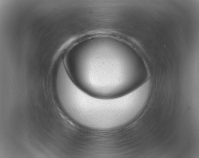 X0000083061406200702021024
