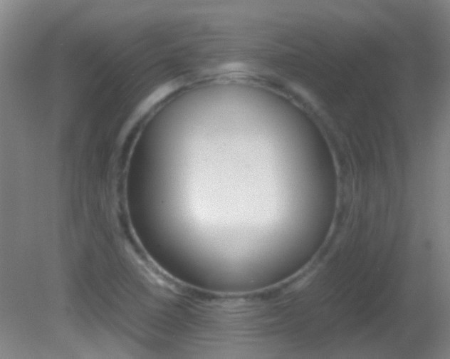 X0000083061410200702021024
