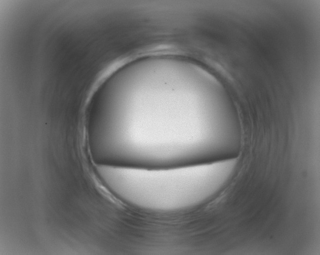 X0000083061413200702021024