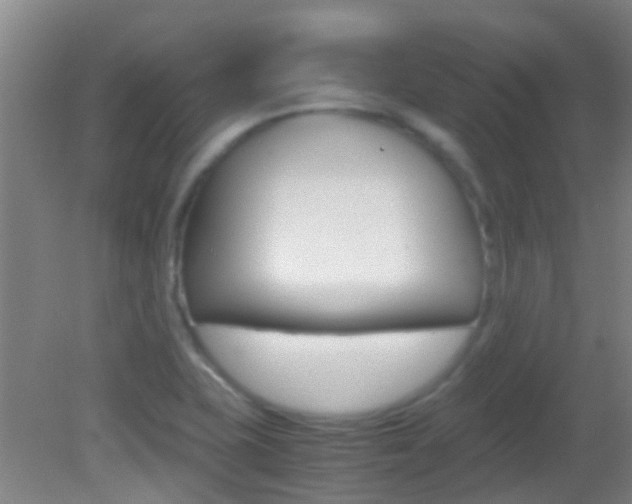 X0000083061415200702021024