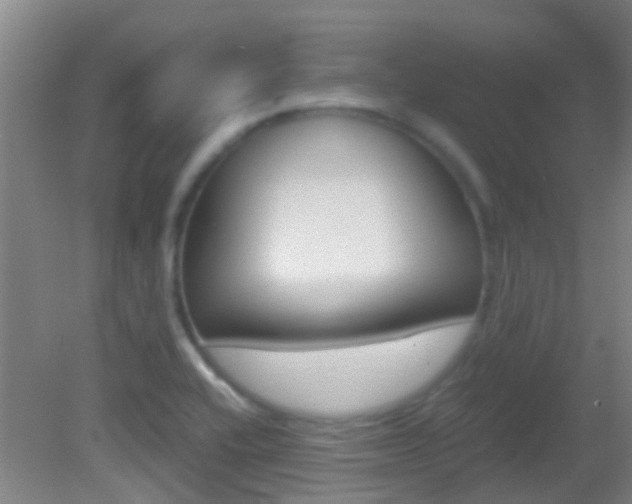 X0000083061416200702021024
