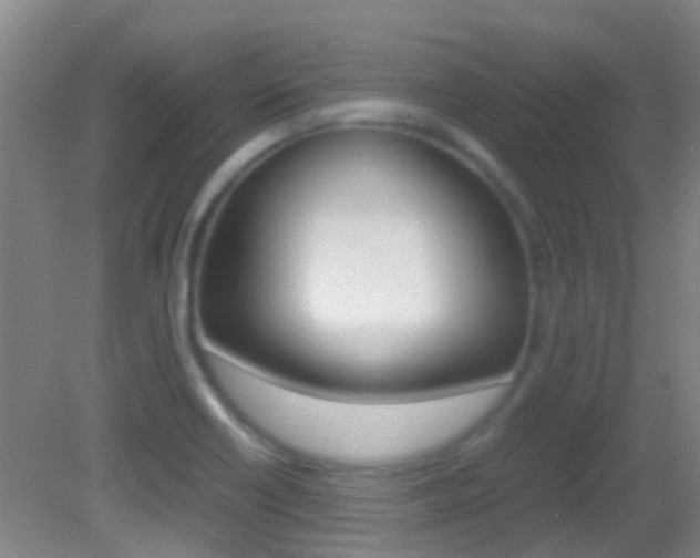 X0000083061418200702021024