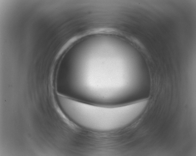 X0000083061422200702021024
