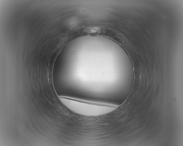 X0000083061442200702021024