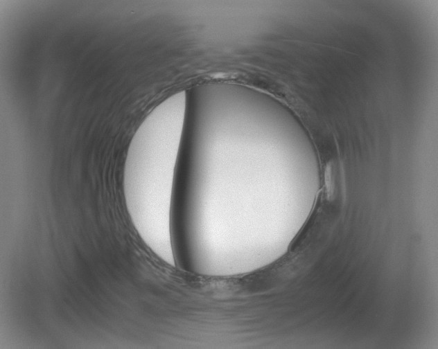 X0000083061443200702021024
