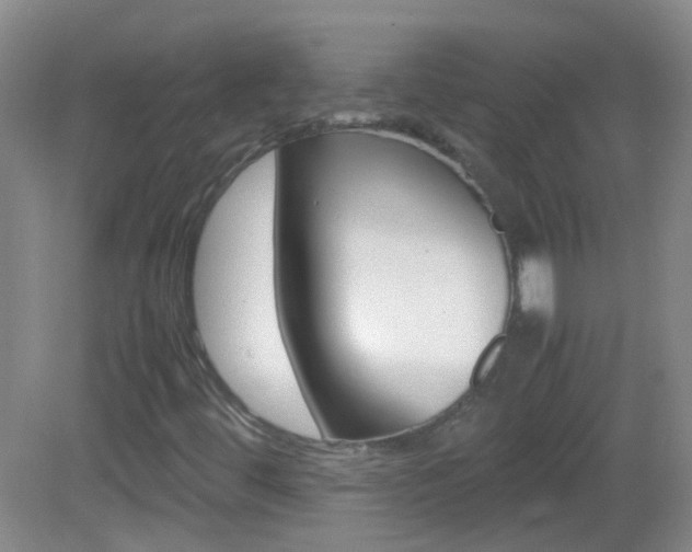 X0000083061444200702021024