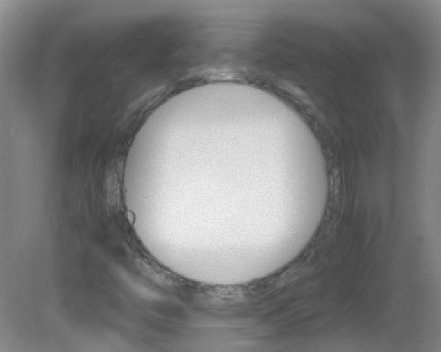 X0000083061446200702021024