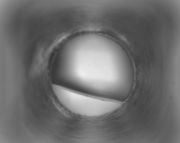 X0000083061448200702021024