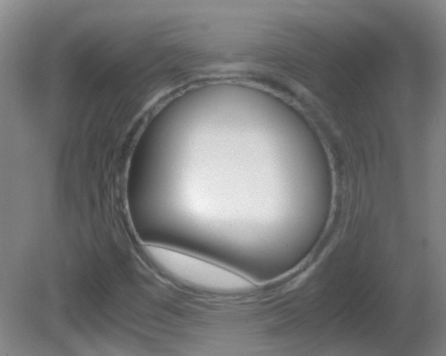 X0000083061449200702021023