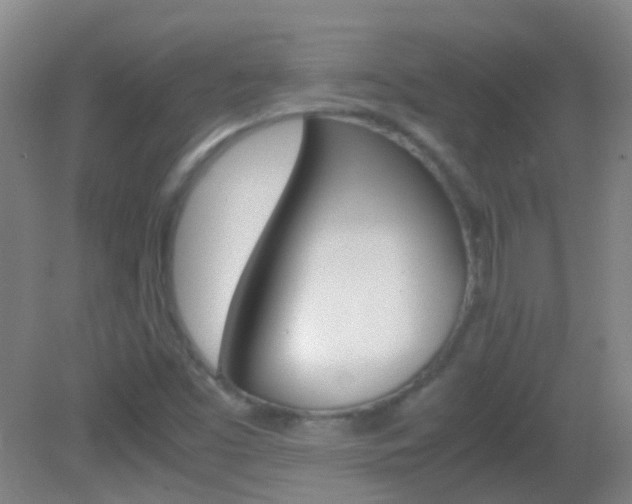 X0000083061453200702021023