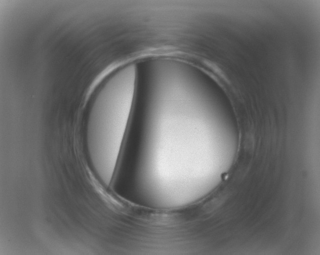 X0000083061458200702021023