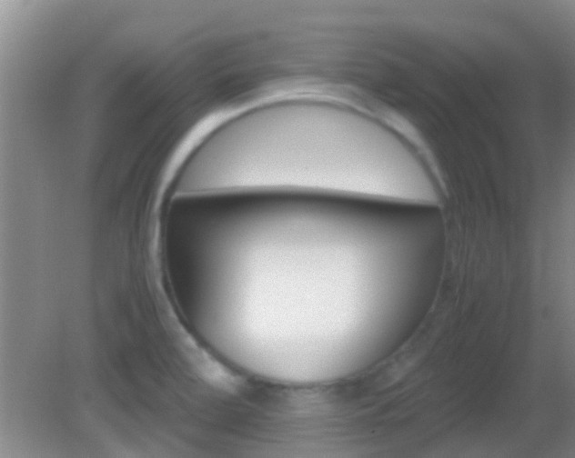 X0000083061472200702021023