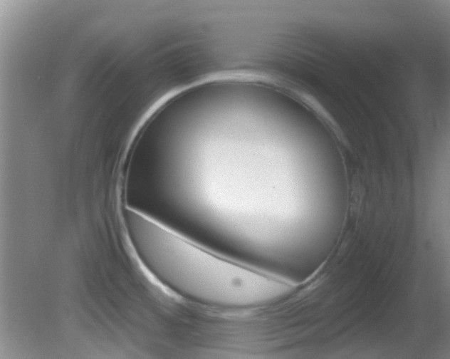 X0000083061484200702021023