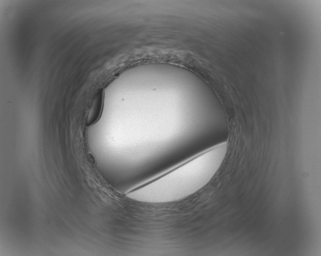 X0000083061489200702021022