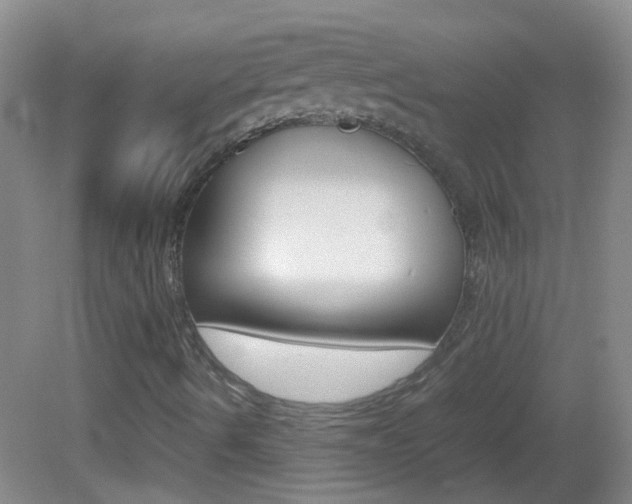 X0000083061490200702021022
