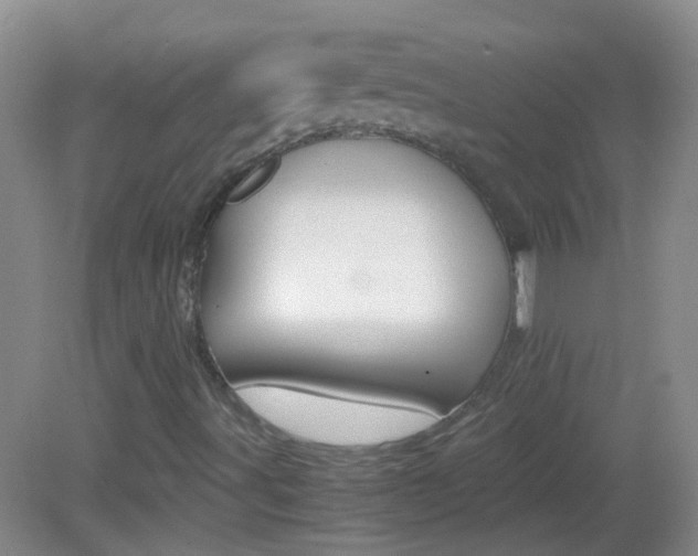 X0000083061491200702021022