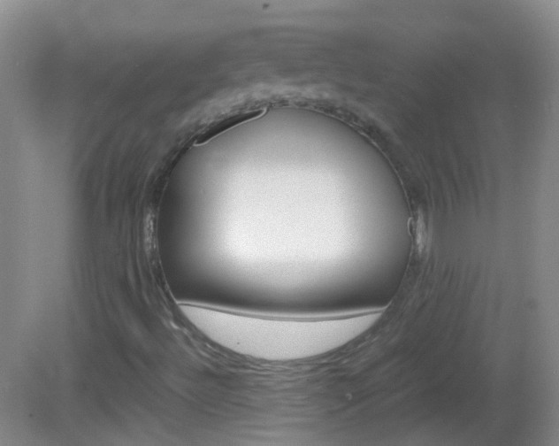 X0000083061492200702021022